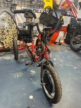 Load image into Gallery viewer, Liberty Trike 3-Wheeled E-Bike: Comes with Xtra battery &amp; charger
