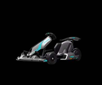 SEGWAY GOKART PRO 2.